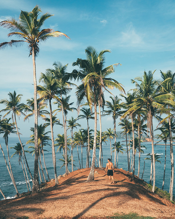 Man on island with palm trees