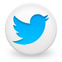 Twitter Logo